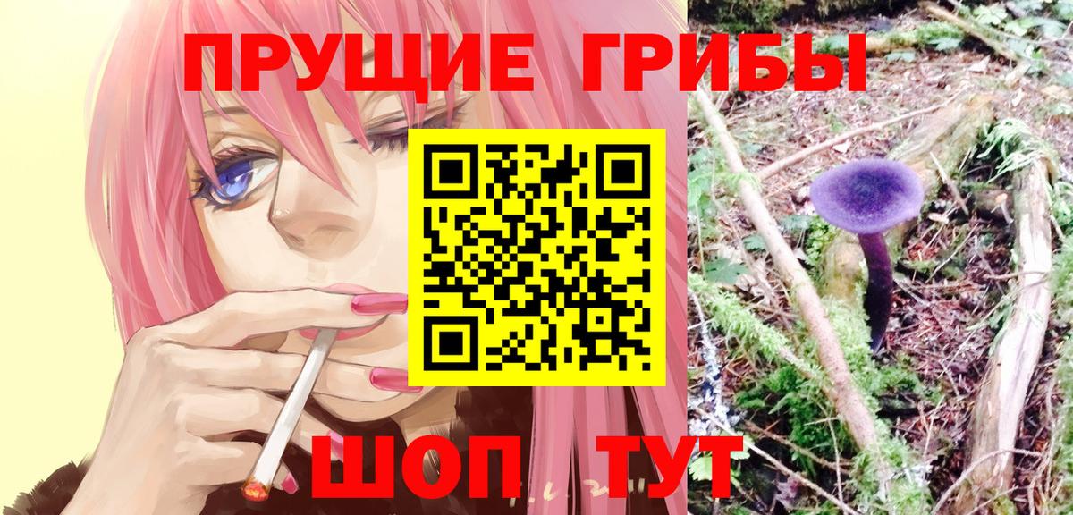 Псилоцибиновые грибы ЛСД  Вход с VPN  Нижнеудинск 