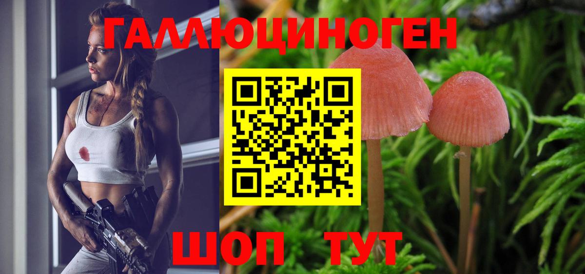Псилоцибиновые грибы мухоморы Нижнеудинск